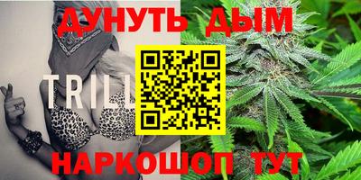 кокс Нальчик
