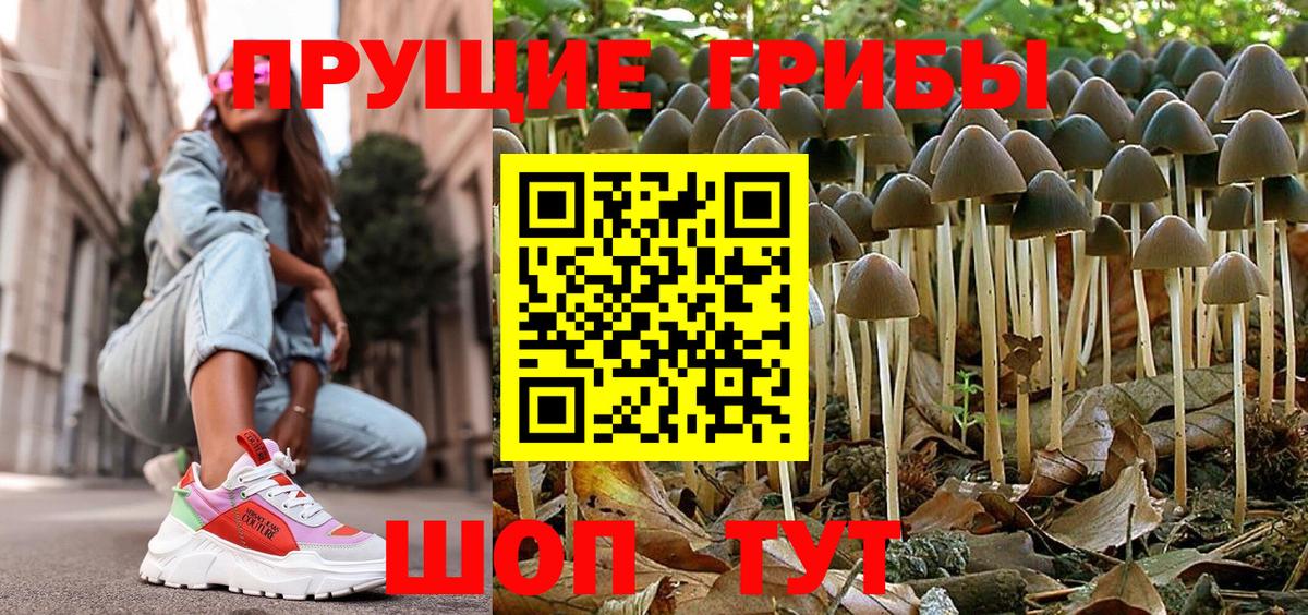 Псилоцибиновые грибы Magic Shrooms  Вход с VPN  Узловая  Псилоцибиновые грибы GOLDEN TEACHER 